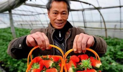 6億人口農村電商 初級農產品的機遇與挑戰